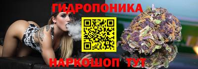 мдпв Пугачёв