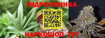 хмурый Пушкино