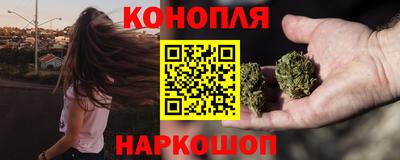 мдпв Пугачёв