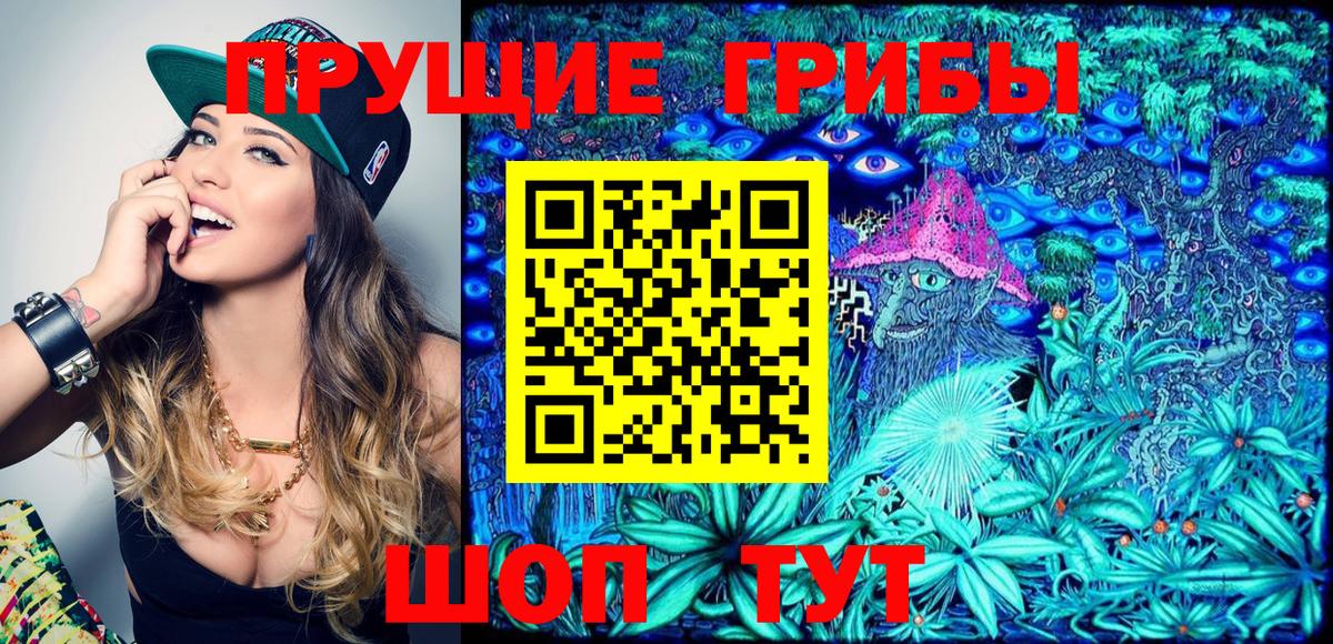 Искитим  Псилоцибиновые грибы MAGIC MUSHROOMS  Псилоцибиновые грибы GOLDEN TEACHER  Вход с VPN 